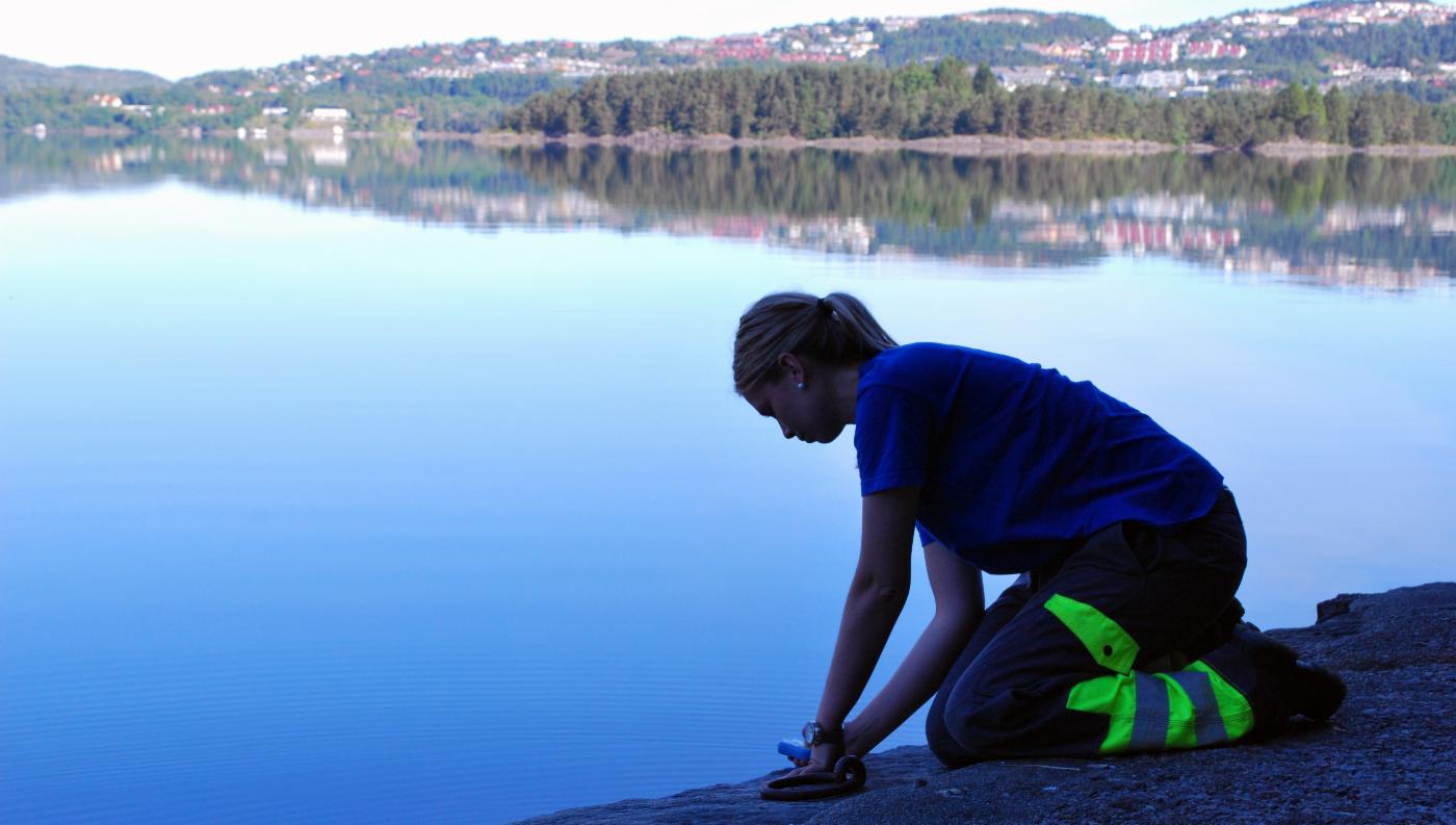 Bergen vann søker folk blant annet til å ta vannprøver og gjete sauer i nedbørsfelt. Les mer om stillingene på bergen.kommune.no/va eller i webcruiter.
