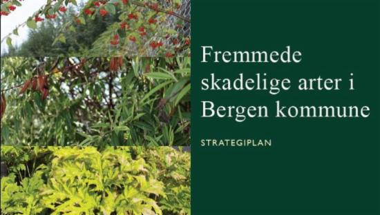 Forside strategiplan fremmede skadelige arter i Bergen