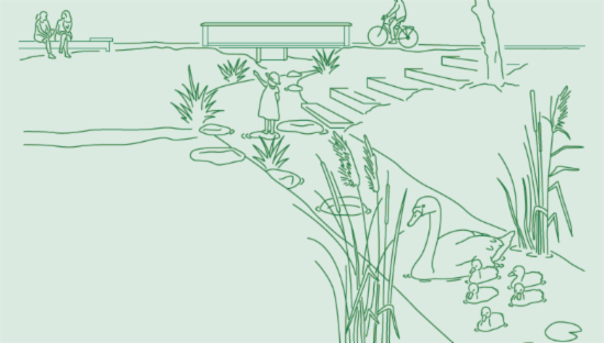Utsnitt fra rapporten om Blågrønn struktur Åsane - metode. Illustrasjon av en elv med en svane og svaneunger i forgrunnen. Lenger bak er det steiner i elven. Et barn som balanserer på en stein. En trapp går ned til elven. I bakgrunnen er en syklist, en benk og noen som sitter på en benk illustrert. 