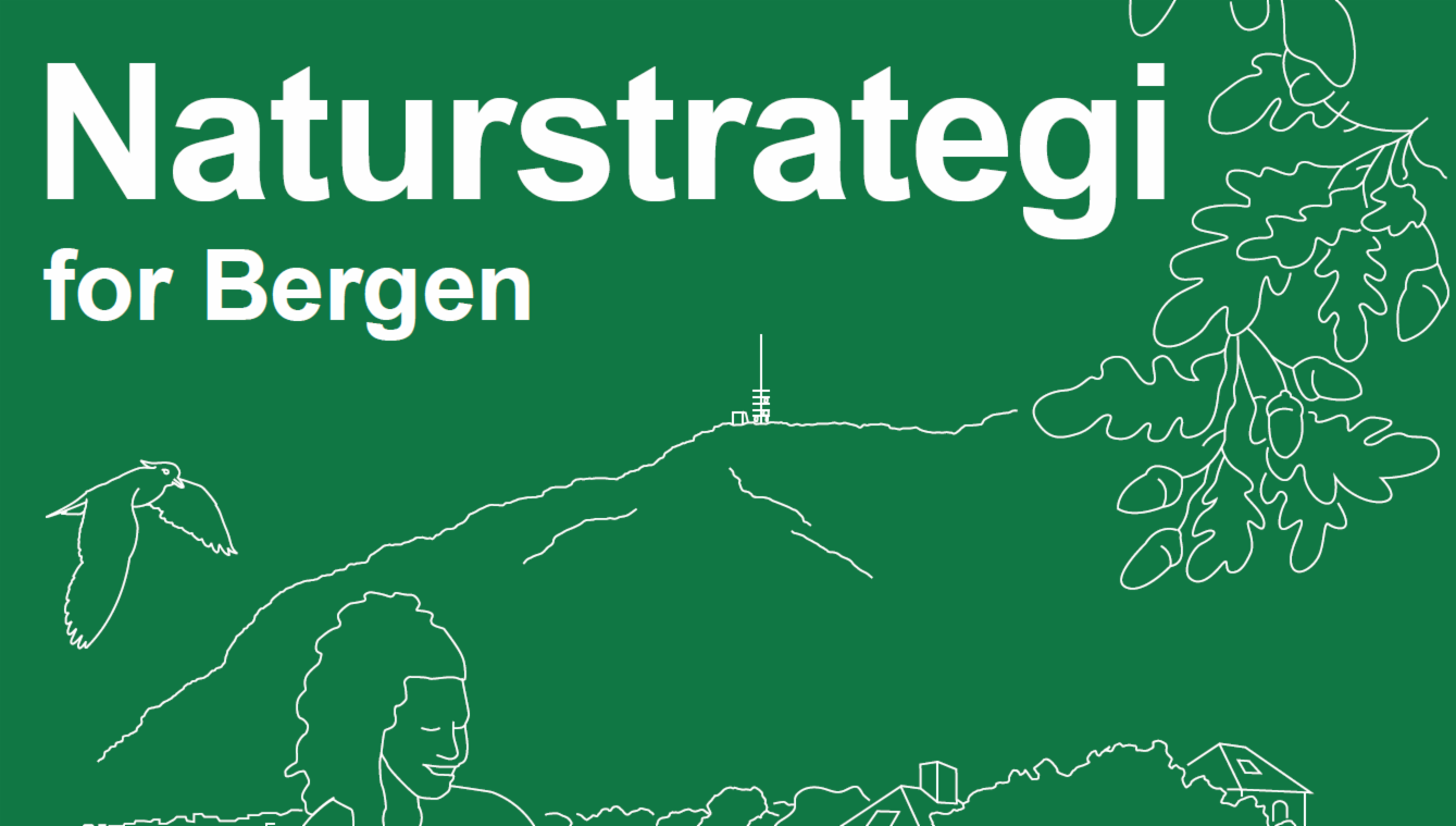 Utklipp fra forsiden til rapporten Naturstrategi for Bergen