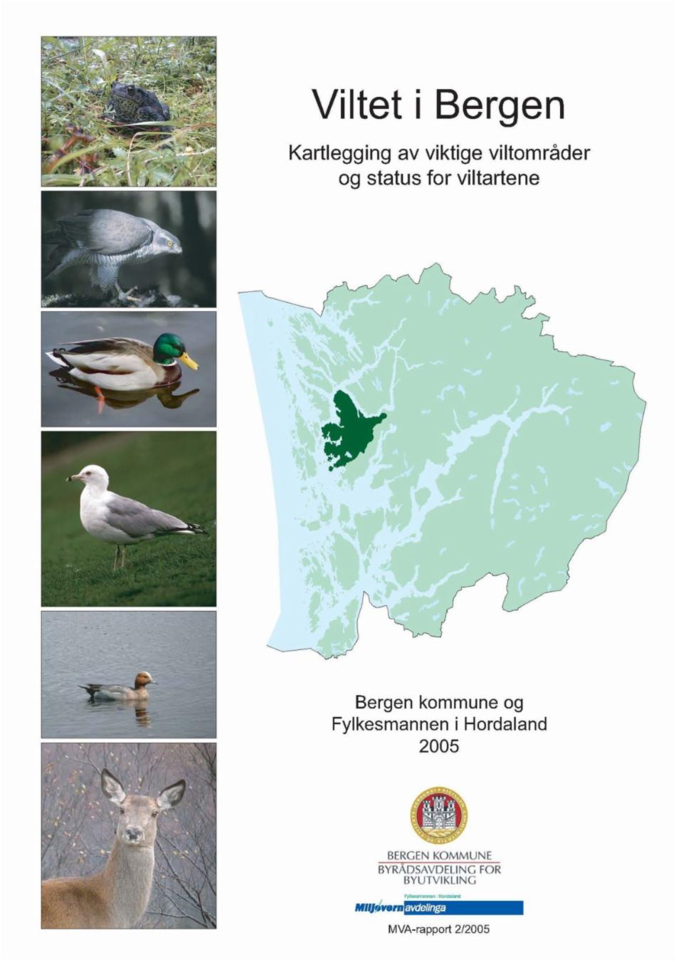 Forside kartleggingsrapport