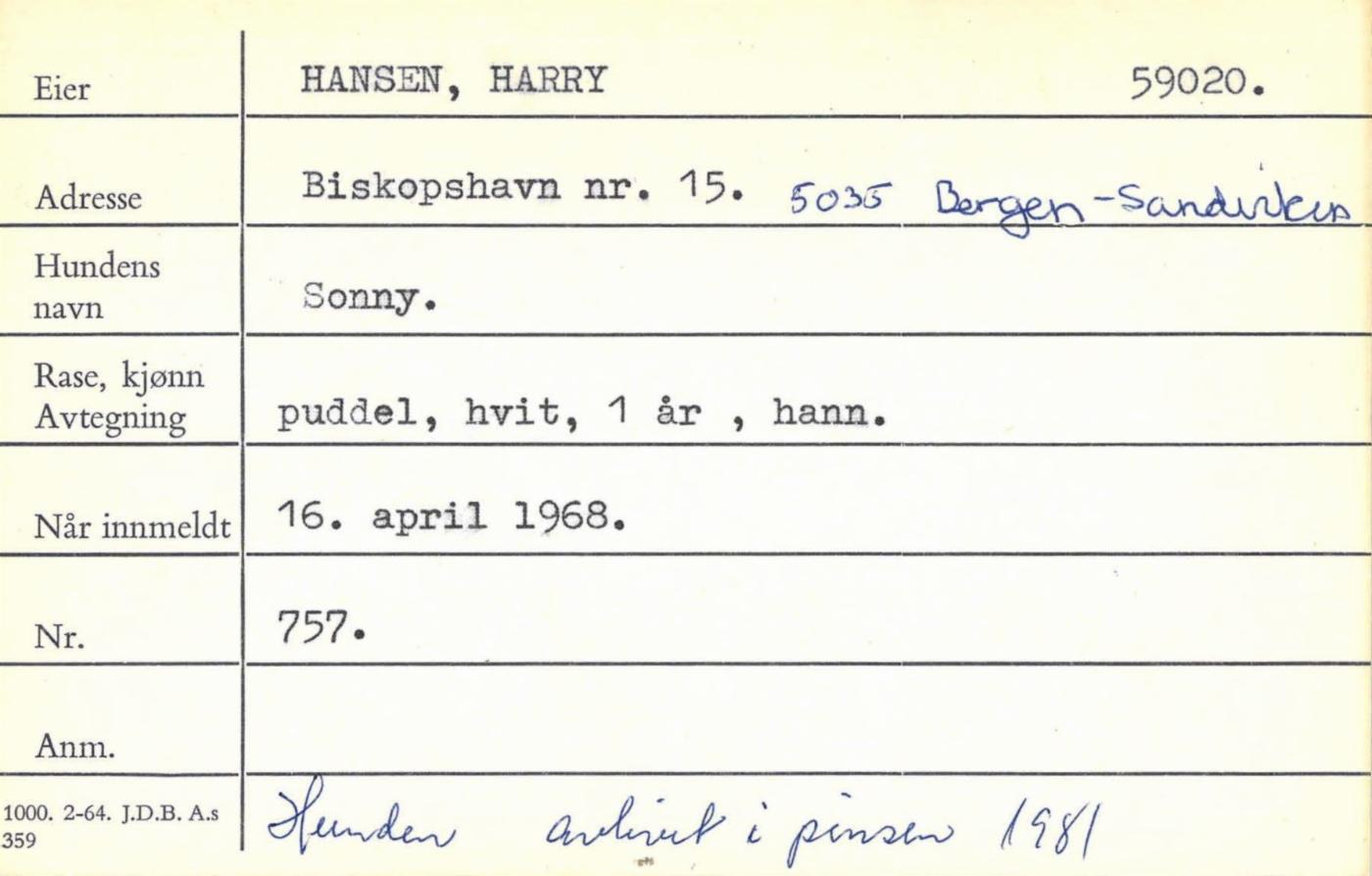 Registerkort for tidligere ordfører Harry Hansens hund «Sonny». Fra arkivet etter Kemneren.