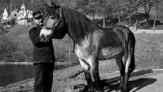 En av brannvesenets siste hester på Skansen med brannmester Abrahamsen i 1936. Andersen holder hesten og i bakgrunnen ser vi Skansedammen og husene i Skanselien.