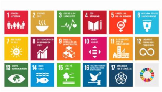 Ikoner FNs bærekraftsmål 