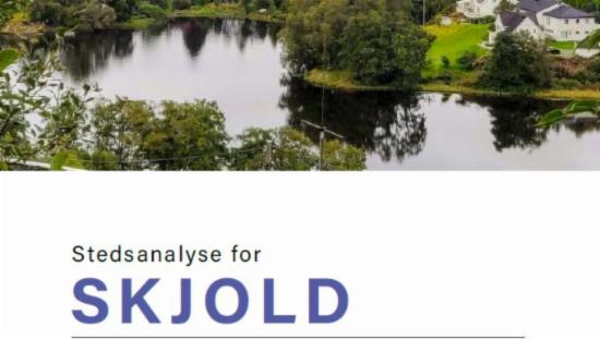 Stedsanalyse for Skjold