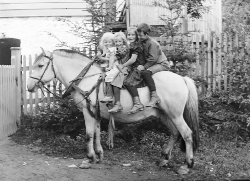Biletet er truleg teke på Døsen i Sogn. Jenta til venstre på hesten er Marie Sofie Rumohr Døsen (f. 1900). Guten er Johan Rumohr (f. 1886). Foto: Johan Rumohr Døsen, år 1903-05. 