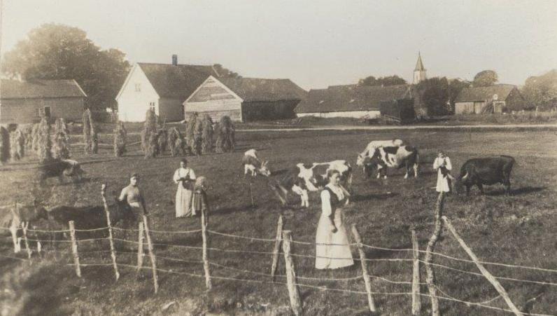 Det første formannskapsmøtet i 1838 ble holdt på prestegården i Fana. Her et postkort av prestegården med kirken i bakgrunnen fra 1909. Postkort ble gitt ut av Norland i Bergen. Fra arkivet etter bygdebokforfatter Hermod Hjellestad (A-7289).   
